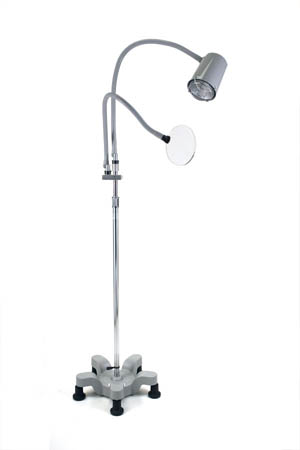 Stationary Base Giraffe Exam-Task Lamp with 2x Magnifier on 30